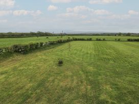 A field with grass and horses grazing at The Gallops in Barry