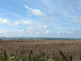 A field with crops under a blue sky at Trehaverock Cottage St. Endellion near Port Isaac