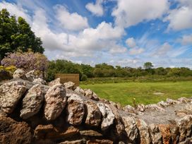 A stone wall with grass and trees at Seveock in Threemilestone