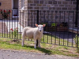 A sheep near a fence with a flower bed and house at Wheeldale Cottage in Goathland