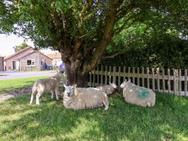 Sheep resting under a tree near a fence at Wheeldale Cottage in Goathland
