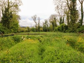 A field with grass and wildflowers at Gullane East in Rathmore, County Kerry