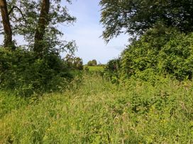 A path surrounded by trees and grass at Gullane East in Rathmore, County Kerry