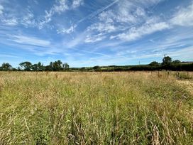 A grassy field with trees and power lines at Cider Cottage near Launceston