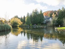 A pond surrounded by trees and a house at Rooftops Lindale