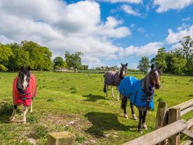 Three horses wearing blankets in a field at Country Cottage Sleeps 3 with Garden and Parking