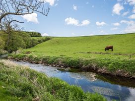 A cow grazing near a stream in a grassy field at Country Cottage Sleeps 3 with Garden and Parking