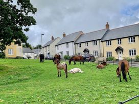 A group of horses grazing in an outdoor area with houses in Chagford