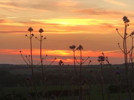 A sunset with flowers in the foreground at Little Linney Sleeps 2 Garden Parking Wifi Hartland
