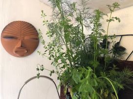 A plant arrangement with herbs and wall art at Little Linney Sleeps 2 Garden Parking Wifi Hartland