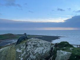 A seal resting on a rock by the sea at Beautiful 2 Bed Static caravan in 