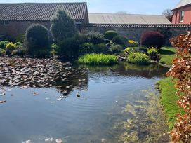 A garden with a pond and water lilies at TBC