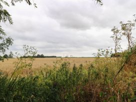 A field with tall grass and bushes at Laurel in Welney near Littleport