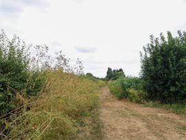 A path surrounded by bushes and plants at Laurel in Welney near Littleport
