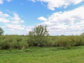 A landscape with bushes and a tree under a cloudy sky at Laurel in Littleport