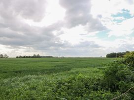 A field with grass and trees under a cloudy sky at Laurel in Littleport
