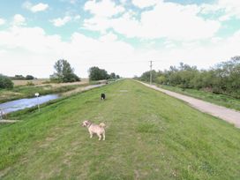 Dogs on a path beside a river at Laurel in Littleport