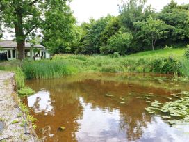A pond with surrounding grass and trees at Bull Rush Cabin in Carwinley near Longtown