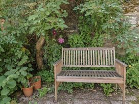 A bench surrounded by plants at Seaview in Lyme Regis