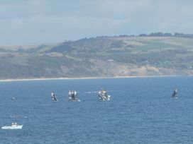 A view of sailing boats on water with hills in the background at Coast Path Cottage Weymouth