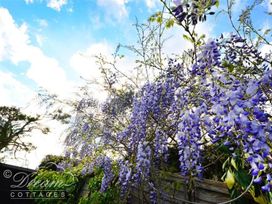 A view of wisteria flowers and leaves near a fence at Little Wickers in Wareham