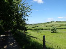 A road alongside trees and grass fields at Pillhead Cart Linhay Bideford