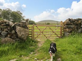 A wooden gate leading to a field with a dog at Brigg House Broughton-in-Furness