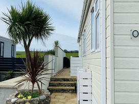 An outdoor pathway with steps and a plant at O7 in Abersoch