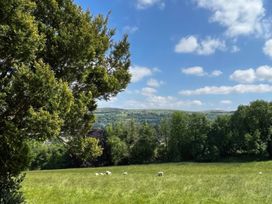 A view of sheep grazing in a field surrounded by trees at The White House in Okehampton
