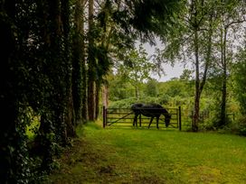 A horse near a gate in a wooded area at 3 bed property