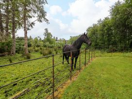 A horse standing near a fence in a field with trees in the background