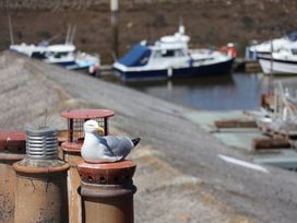 A seagull on a chimney with boats in the background at 4 Studley Terrace Whitby