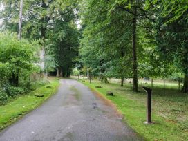 A pathway surrounded by trees at Flat 4 Grasmere Lodge in Ambleside