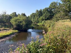 A river surrounded by plants and trees at Up Top in Launceston