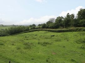 A field with trees and cows at The Hut in Llandysul