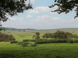 A grassy field with trees and hills at Ridden Brake shepherds hut Yelverton