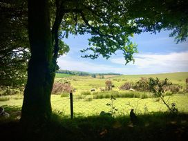 A view of a grassy field with sheep and a tree at Goldcrest Postbridge