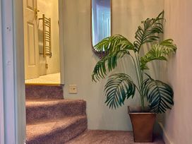 A staircase with a plant and mirror in the hallway at Downton I Alnwick