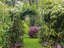 A garden with bamboo and a purple shrub at The Water Mill at Boyton Mill, Launceston