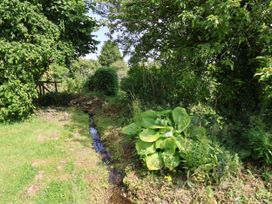 A garden with a stream and various plants at Owl in Pickering