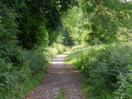 A path surrounded by trees and bushes at Owl in Pickering