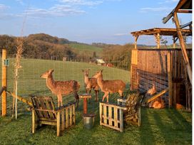 A group of deer near wooden chairs and a table in an outdoor area