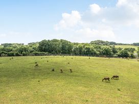 A field with horses grazing at Luxury Safari Lodge Sleeps 4/6 Deer Park Dogs Ok in Zeal Monachorum near Bow