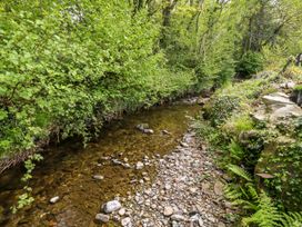 A creek surrounded by plants and rocks at Riverside Cottage in Caernarfon