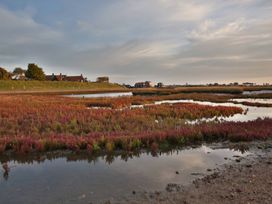 A view of marshland with houses in the background at No 1 The Martins Walberswick