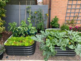 A garden with raised garden beds growing vegetables at 7 Adrian Close in Porthcawl