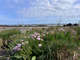A coastal view with grass and flowers in the foreground at a beach