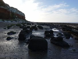 A beach with rocks and cliffs at an unspecified location
