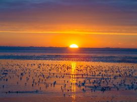 A sunset over the ocean with seagulls on the shore