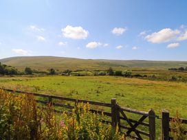 A landscape view with grass and wildflowers at Claybottom Farm in Hesket Newmarket